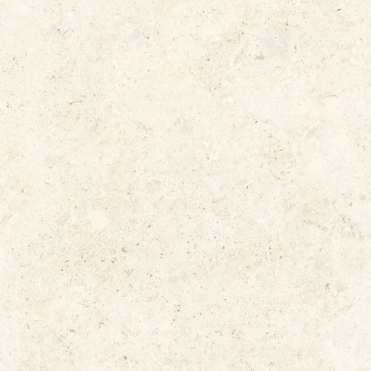 Lightstones.03 Shell Soft Touch 48 x 48